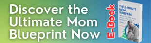 The 5-Minute Mom Blueprint